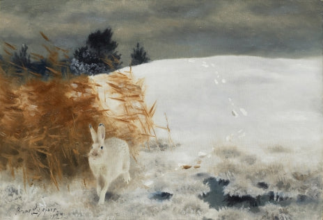 Hare in a winter landscape - Bruno Liljefors