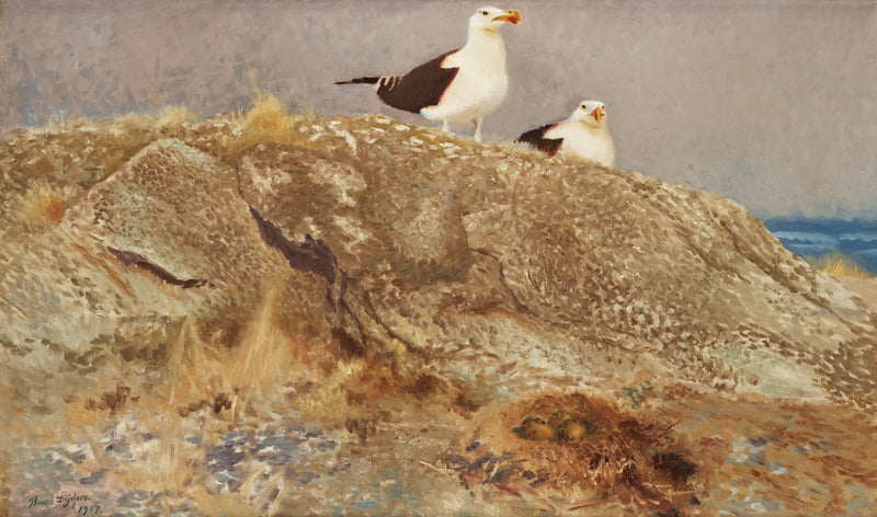 Great Black-backed Gulls - Bruno Liljefors