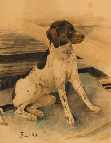 hunting dog - Bruno Liljefors