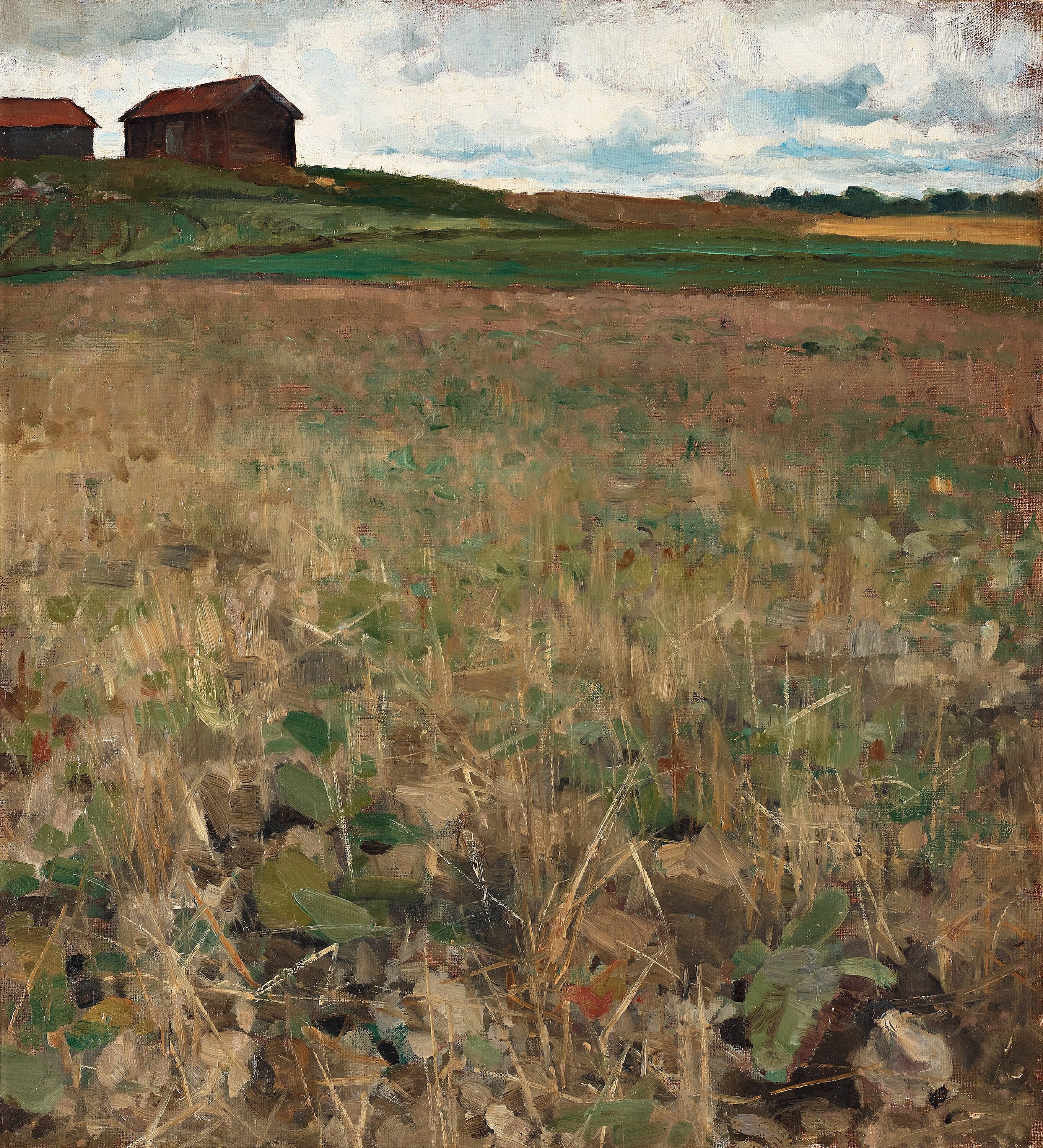 Landscape of Kvarnbo, Uppland - Bruno Liljefors