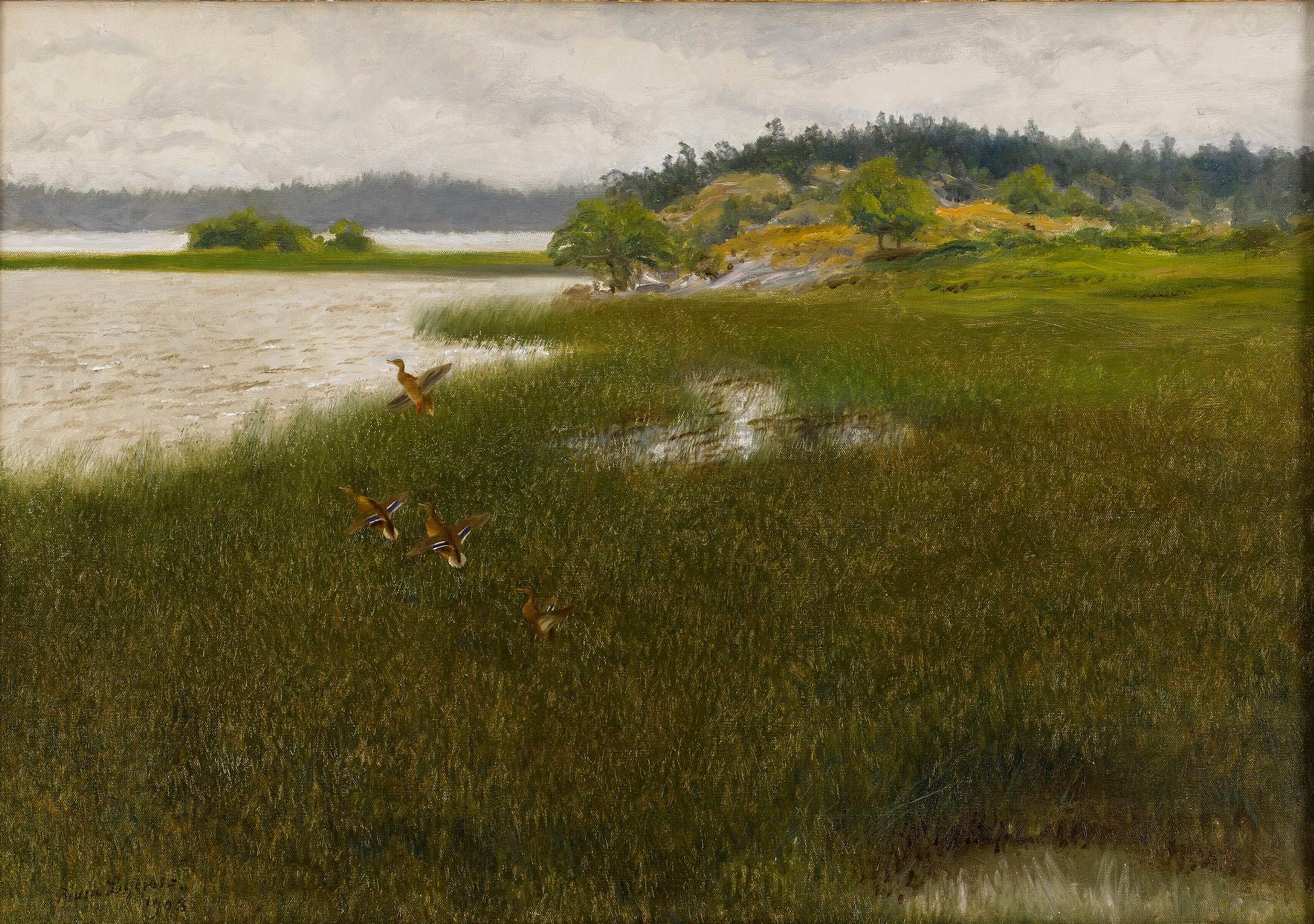 Ducks Take Off - Bruno Liljefors