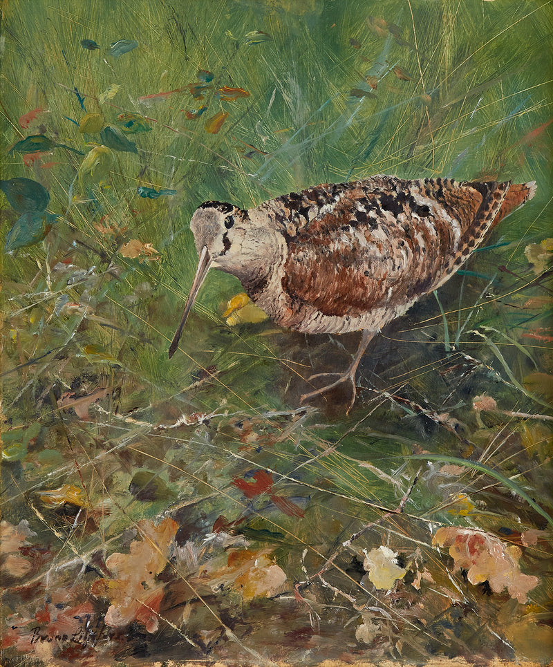 Woodcock - Bruno Liljefors