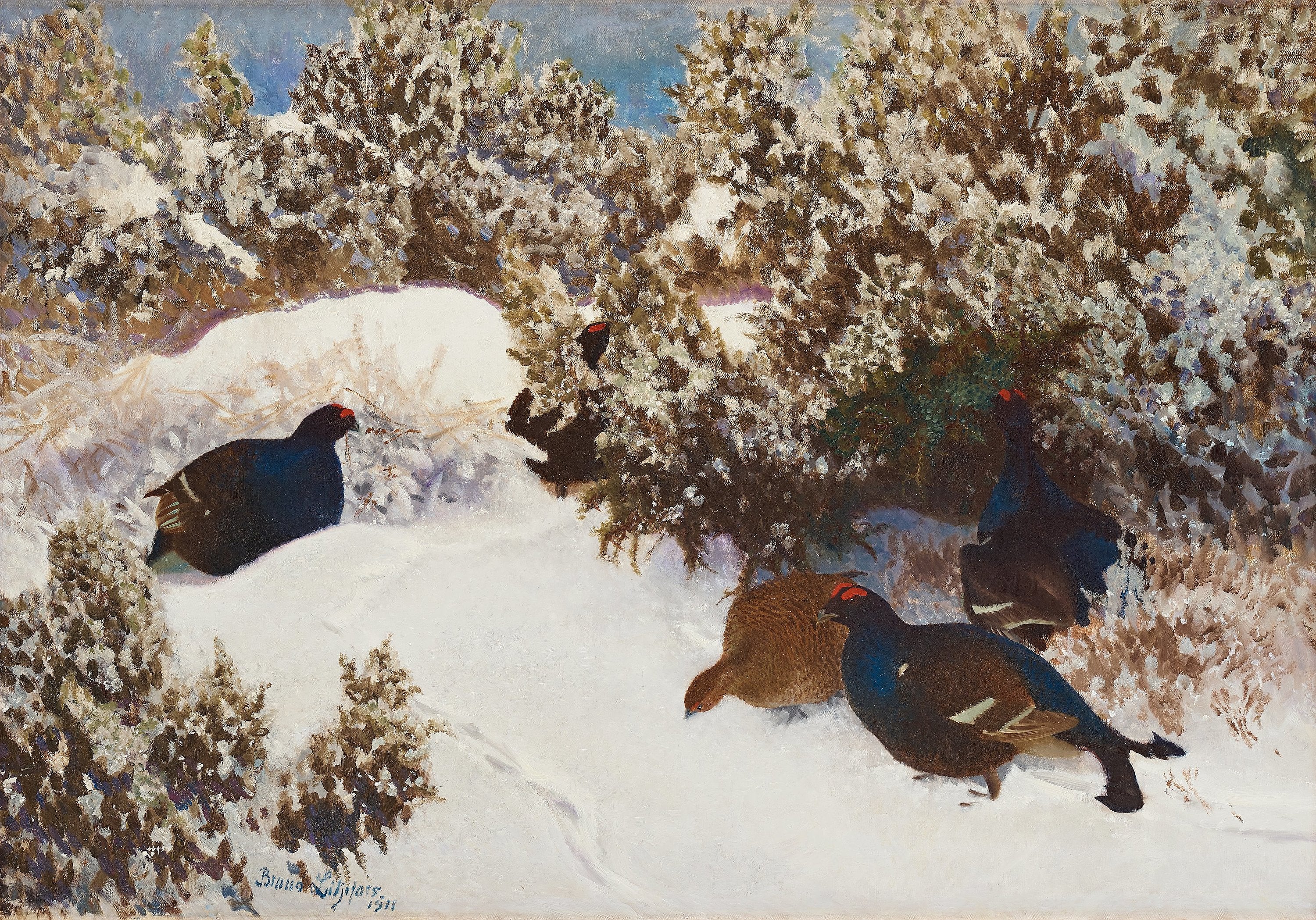 Black grouse in a winter landscape - Bruno Liljefors