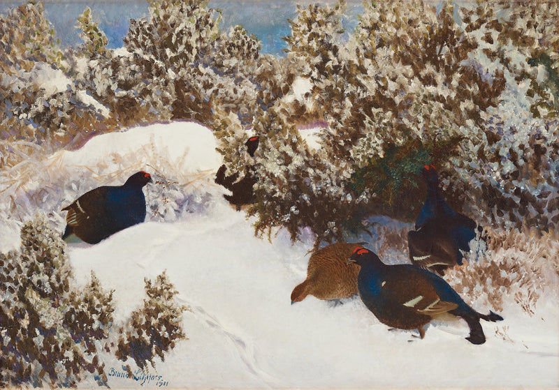 Black grouse in a winter landscape - Bruno Liljefors