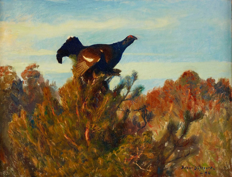 Black grouse - Bruno Liljefors