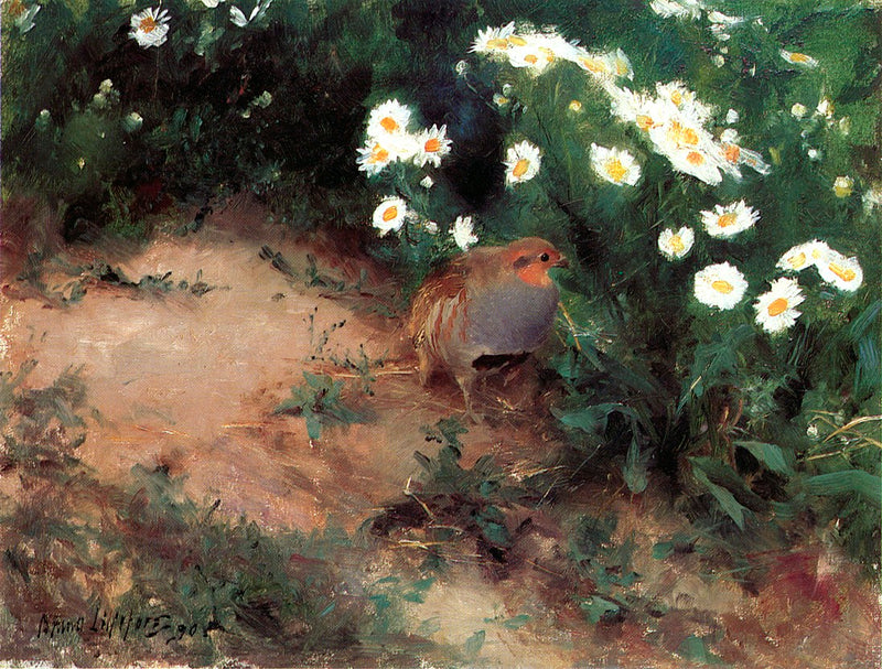 Partridge with Daisies - Bruno Liljefors