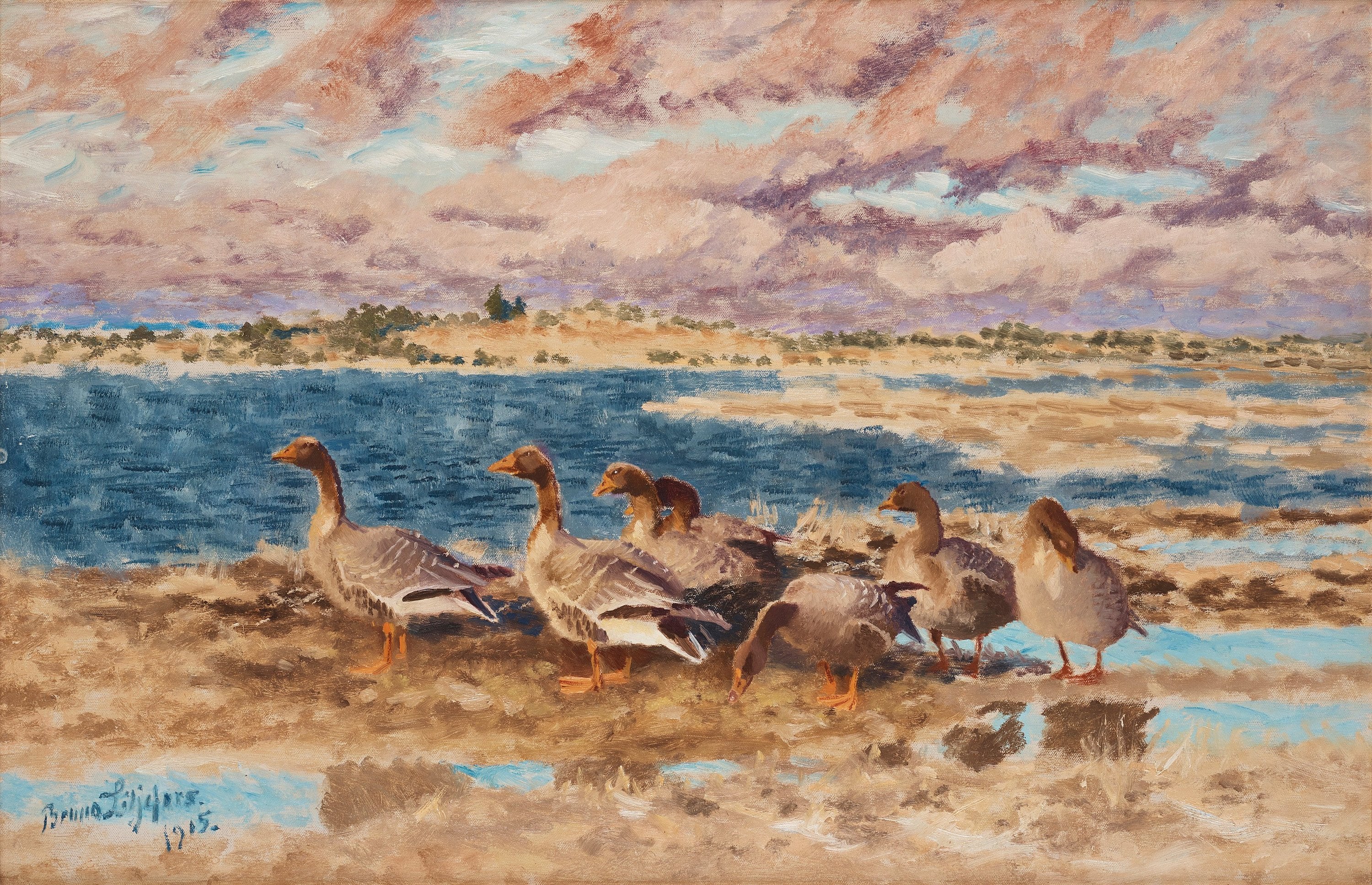 Geese at rest - Bruno Liljefors