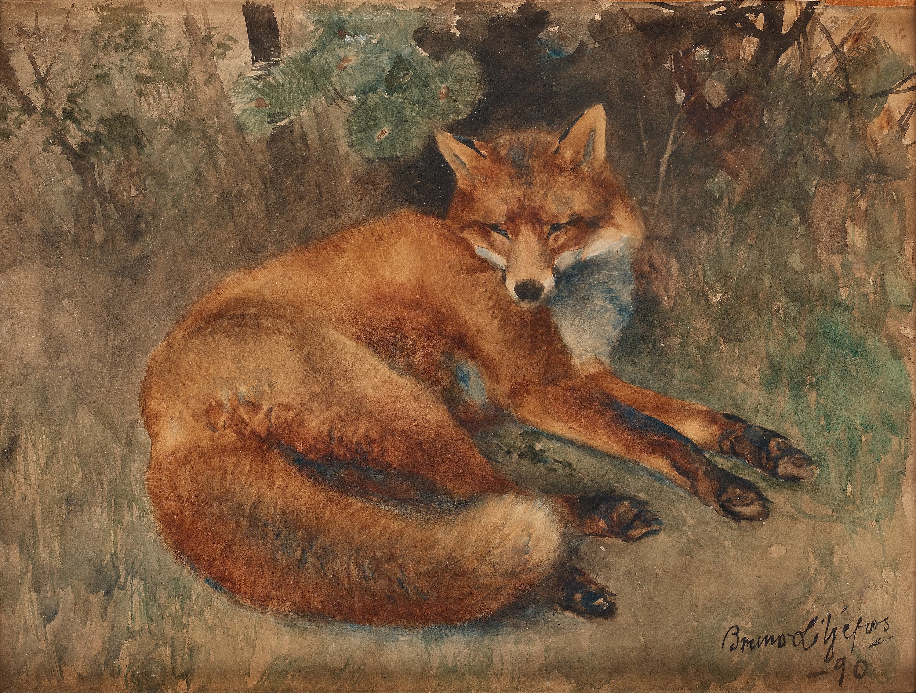 Fox at rest - Bruno Liljefors