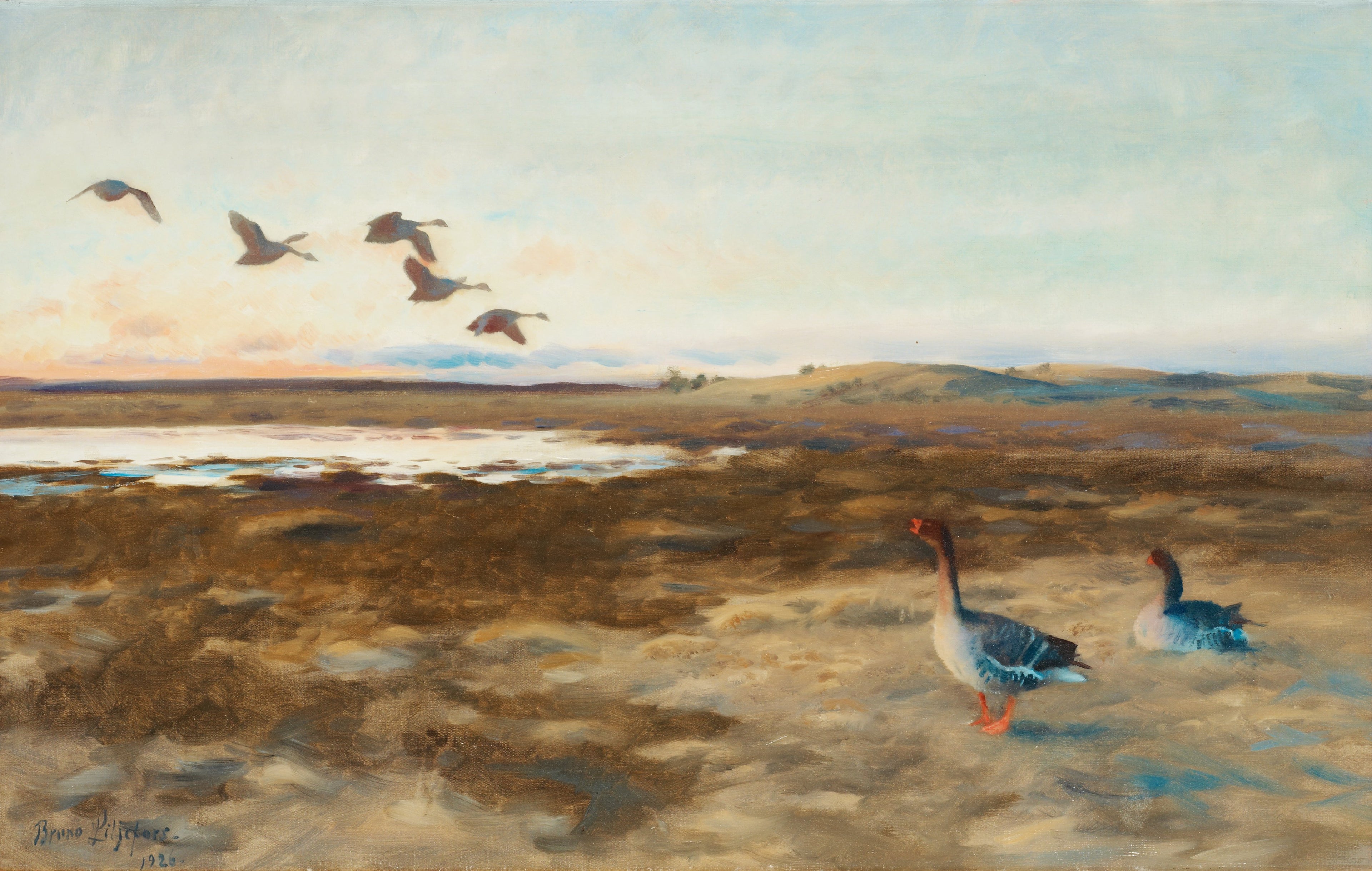 Bean geese - Bruno Liljefors
