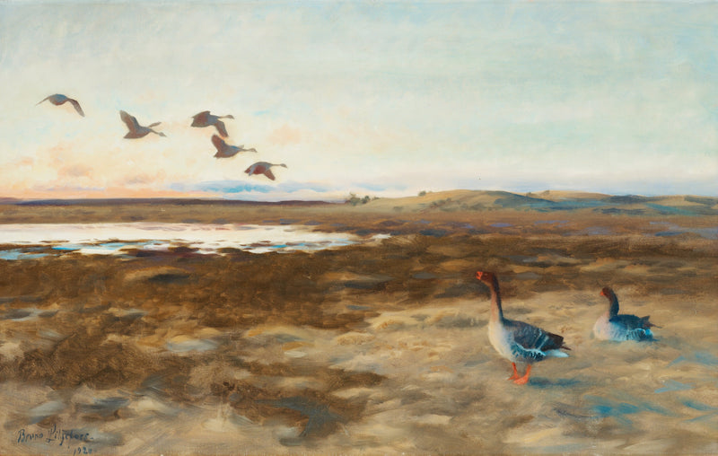 Bean geese - Bruno Liljefors