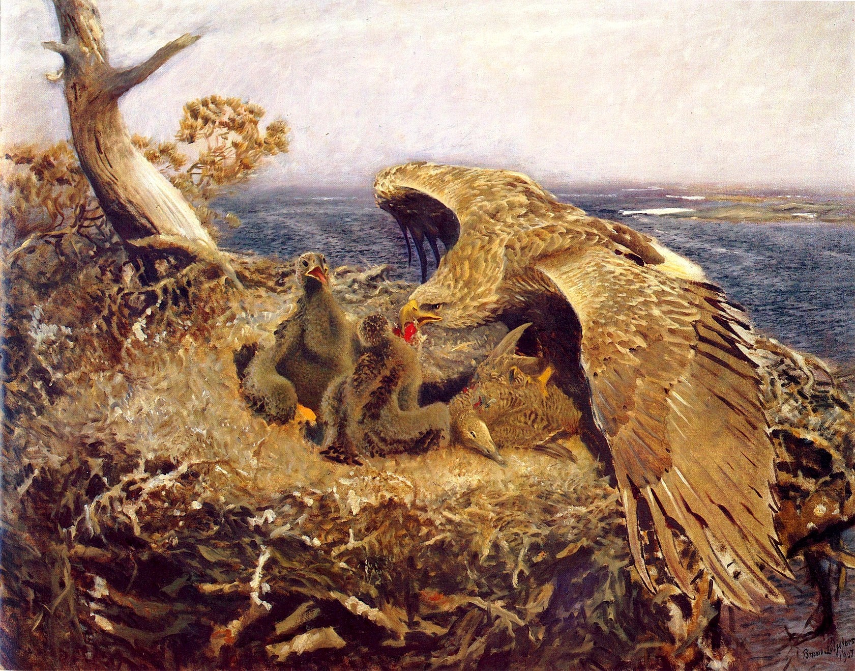 Sea Eagle's Nest - Bruno Liljefors