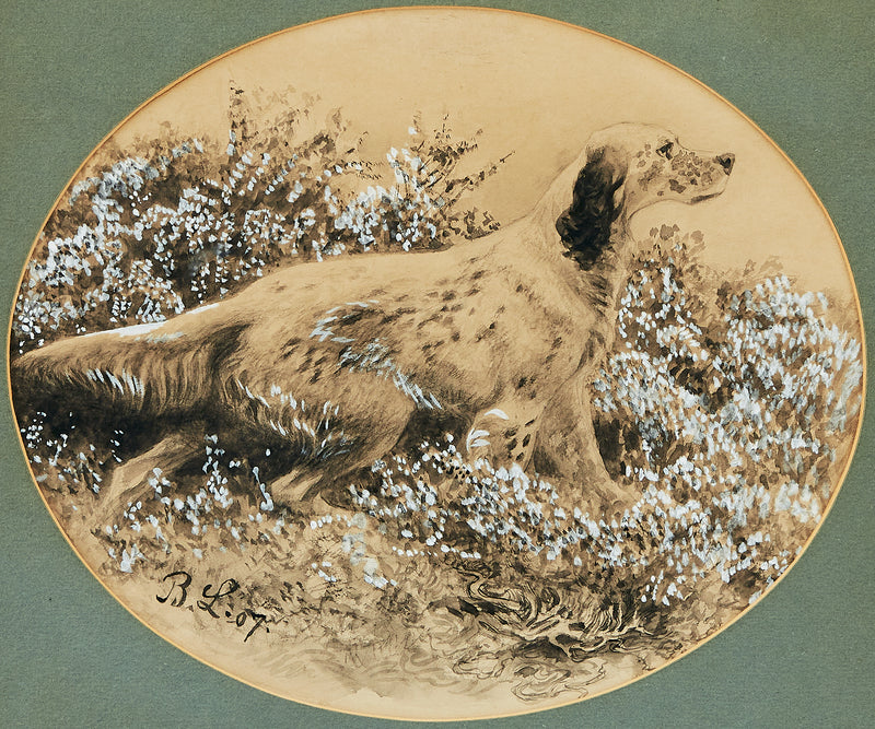 Setter - Bruno Liljefors