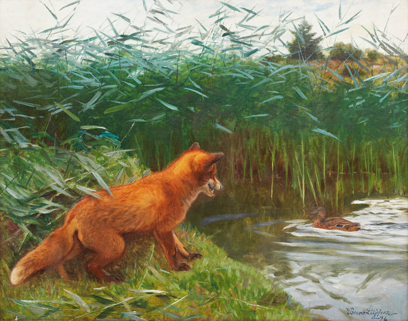 Fox on the prowl - Bruno Liljefors