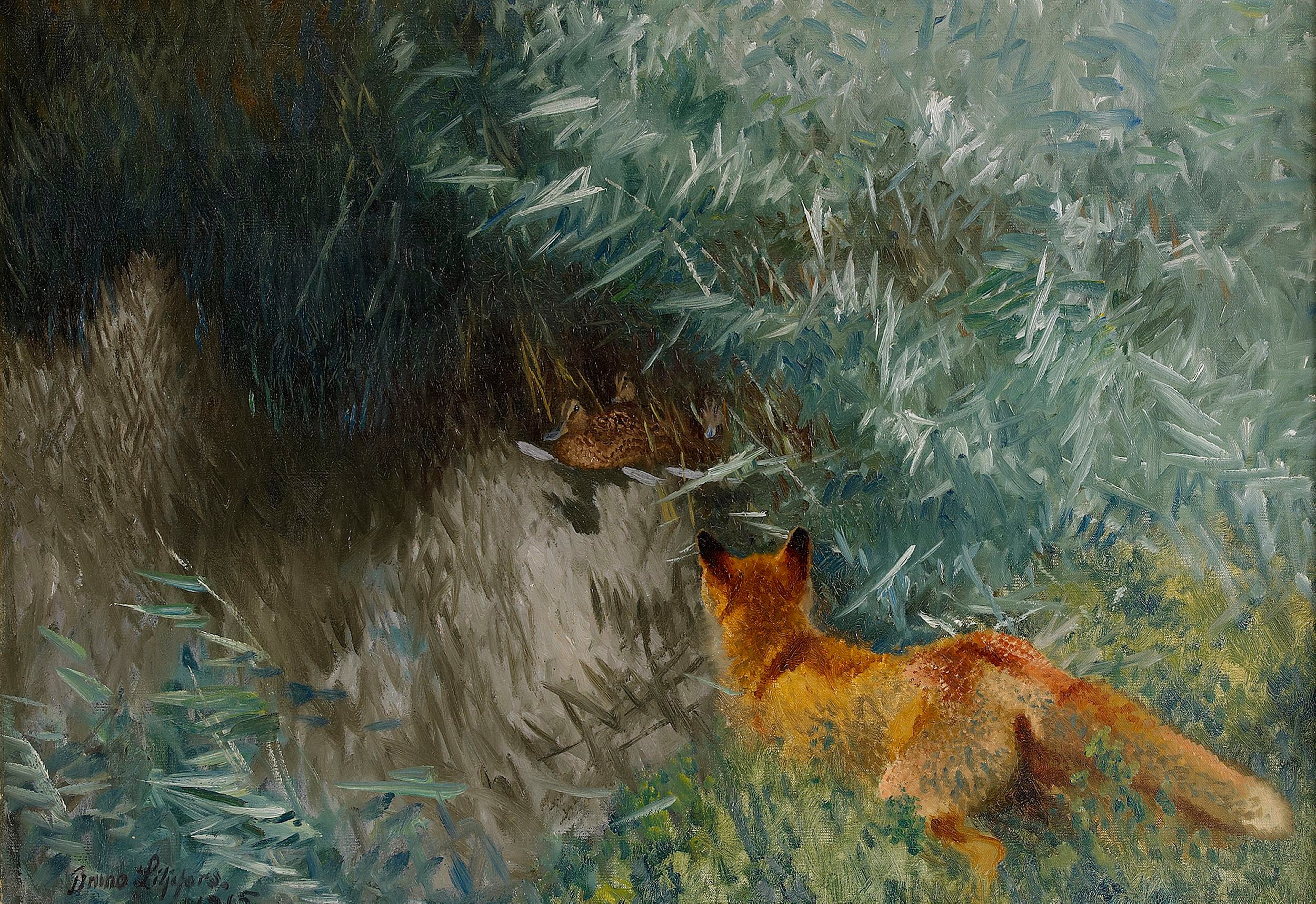 Fox on the prowl at the water's edge - Bruno Liljefors