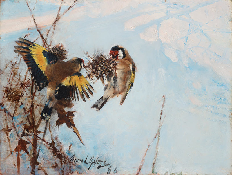European Goldfinches - Bruno Liljefors