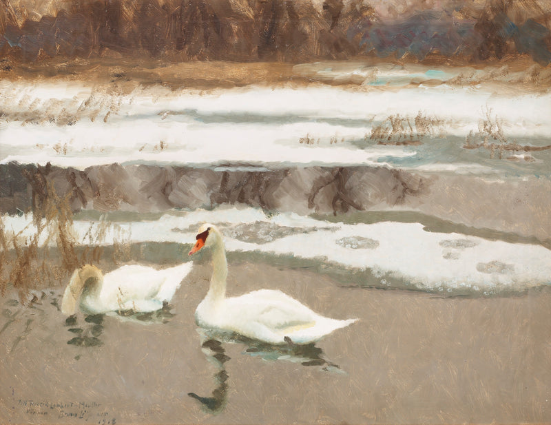 Swans - Bruno Liljefors