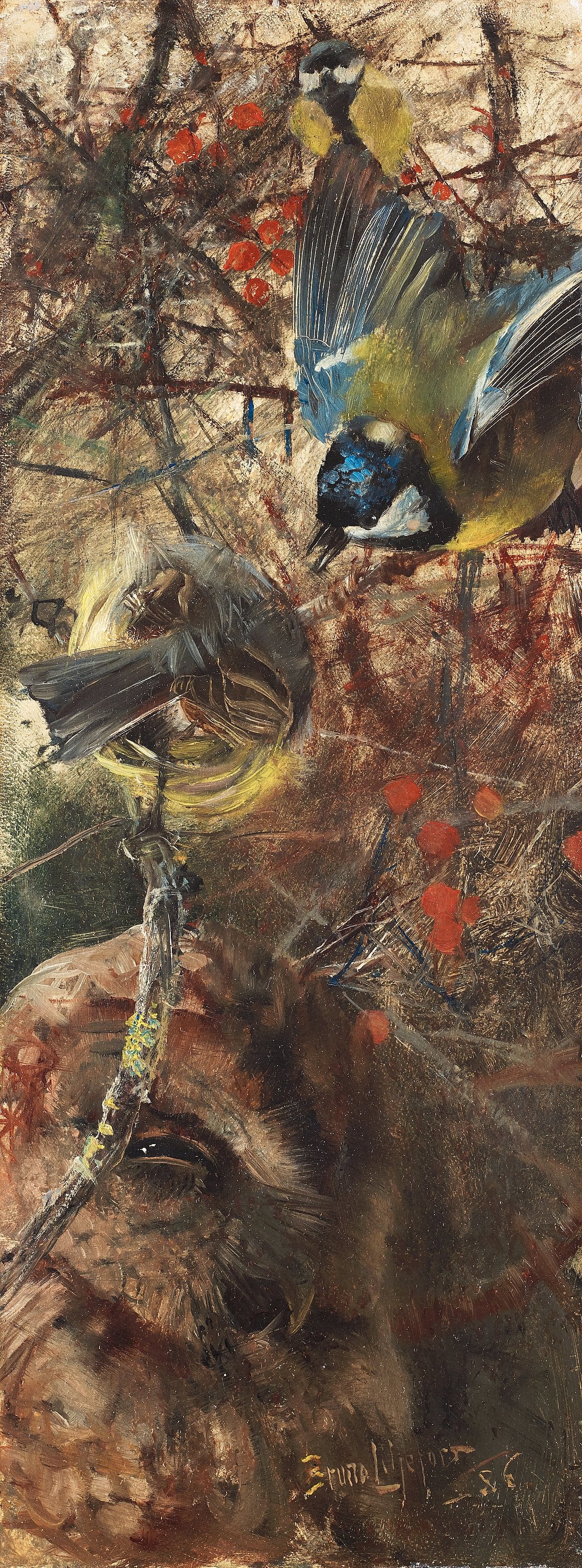 Great tits and owls - Bruno Liljefors