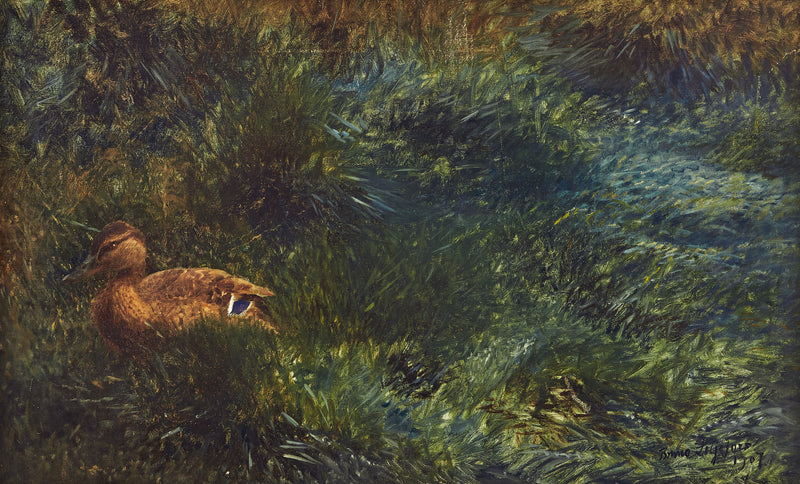 wild duck - Bruno Liljefors