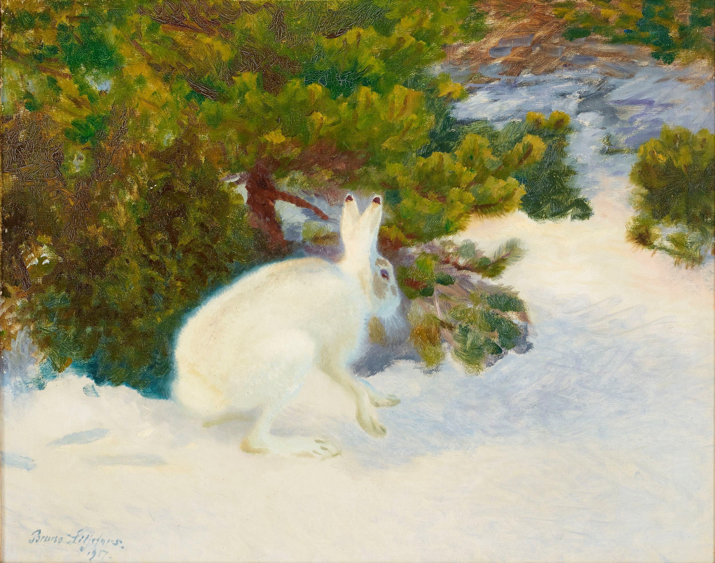 Winter Hare - Bruno Liljefors