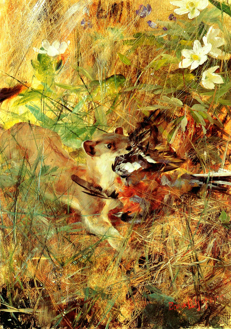 Ermine (not weasel) with a chaffinch - Bruno Liljefors