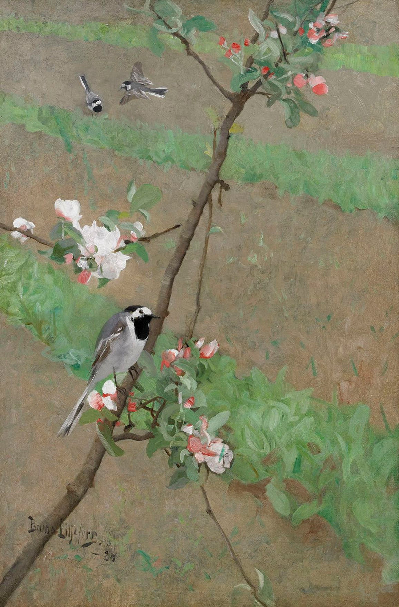 White Wagtails - Bruno Liljefors