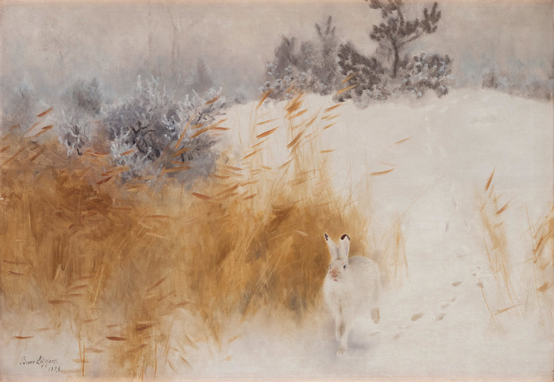 Winter Hare - Bruno Liljefors