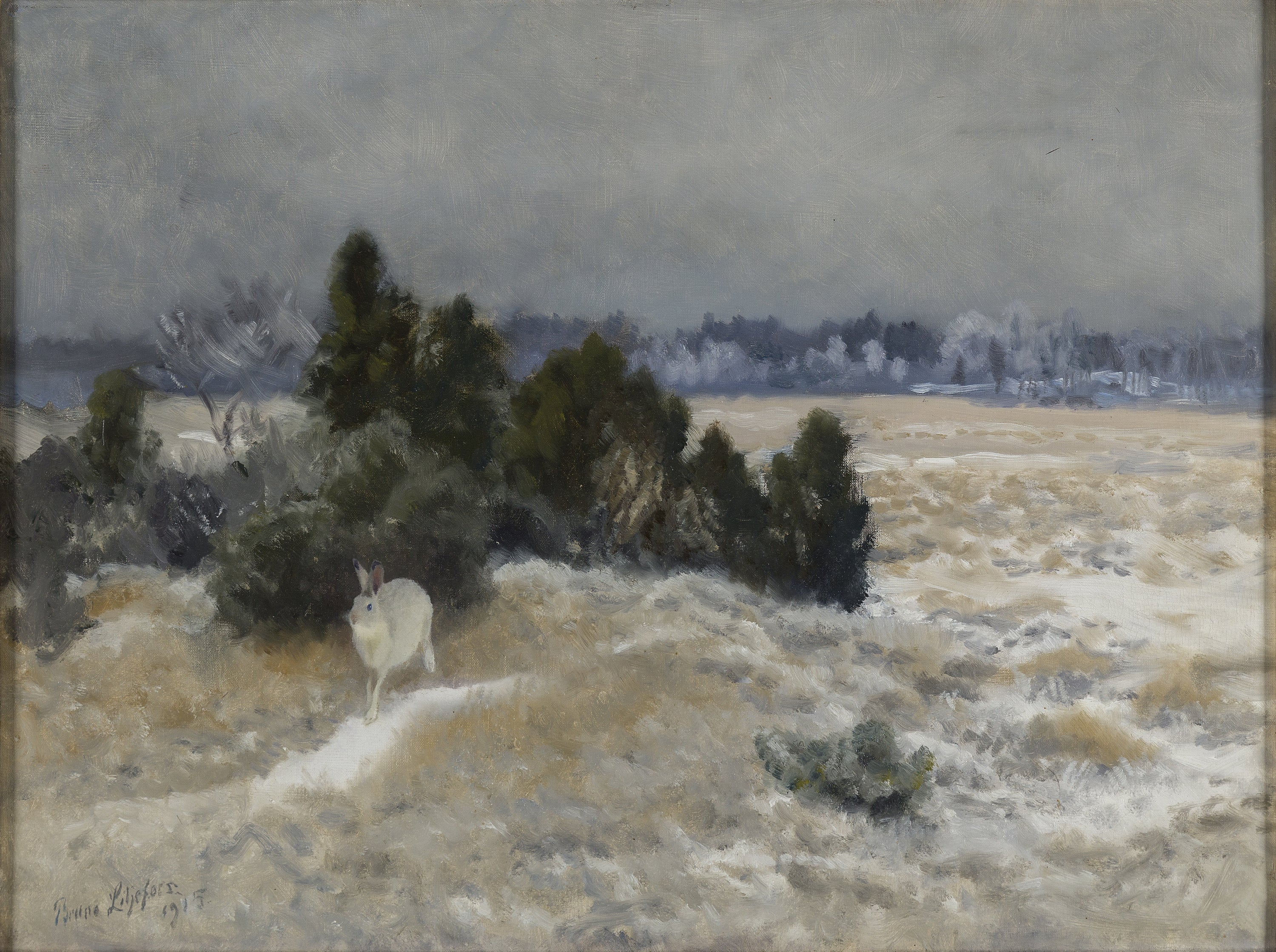Winter Hare - Bruno Liljefors