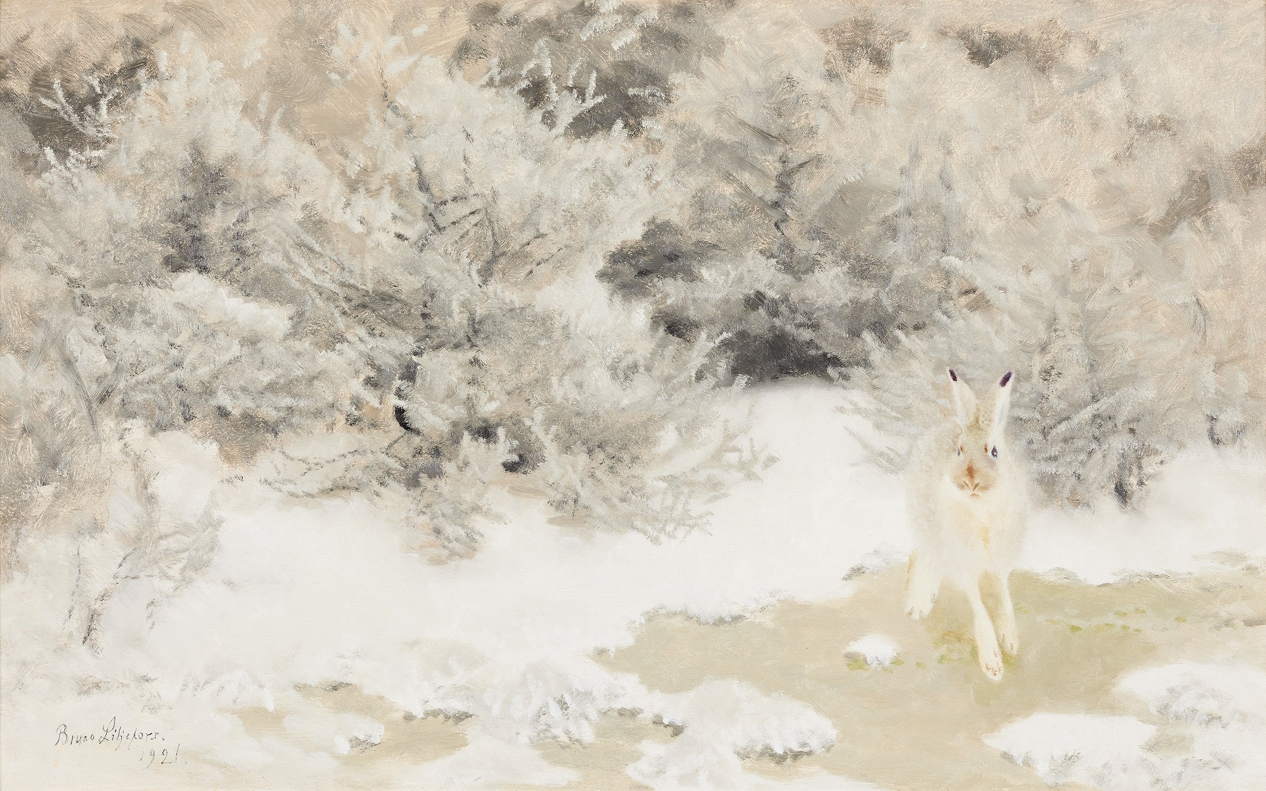 Winter Hare - Bruno Liljefors