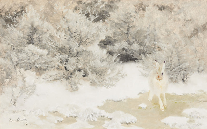 Winter Hare - Bruno Liljefors