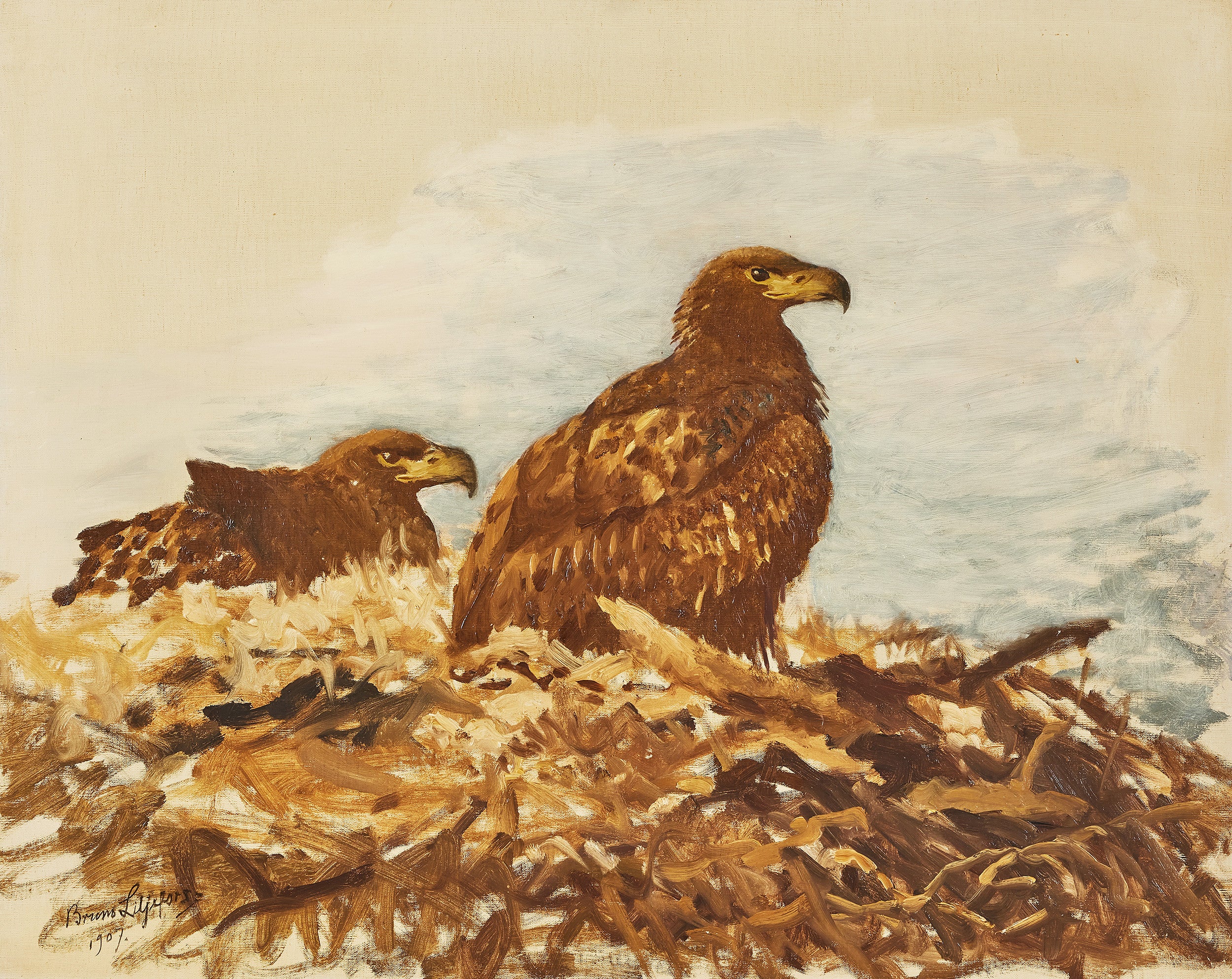 Young white-tailed eagles - Bruno Liljefors