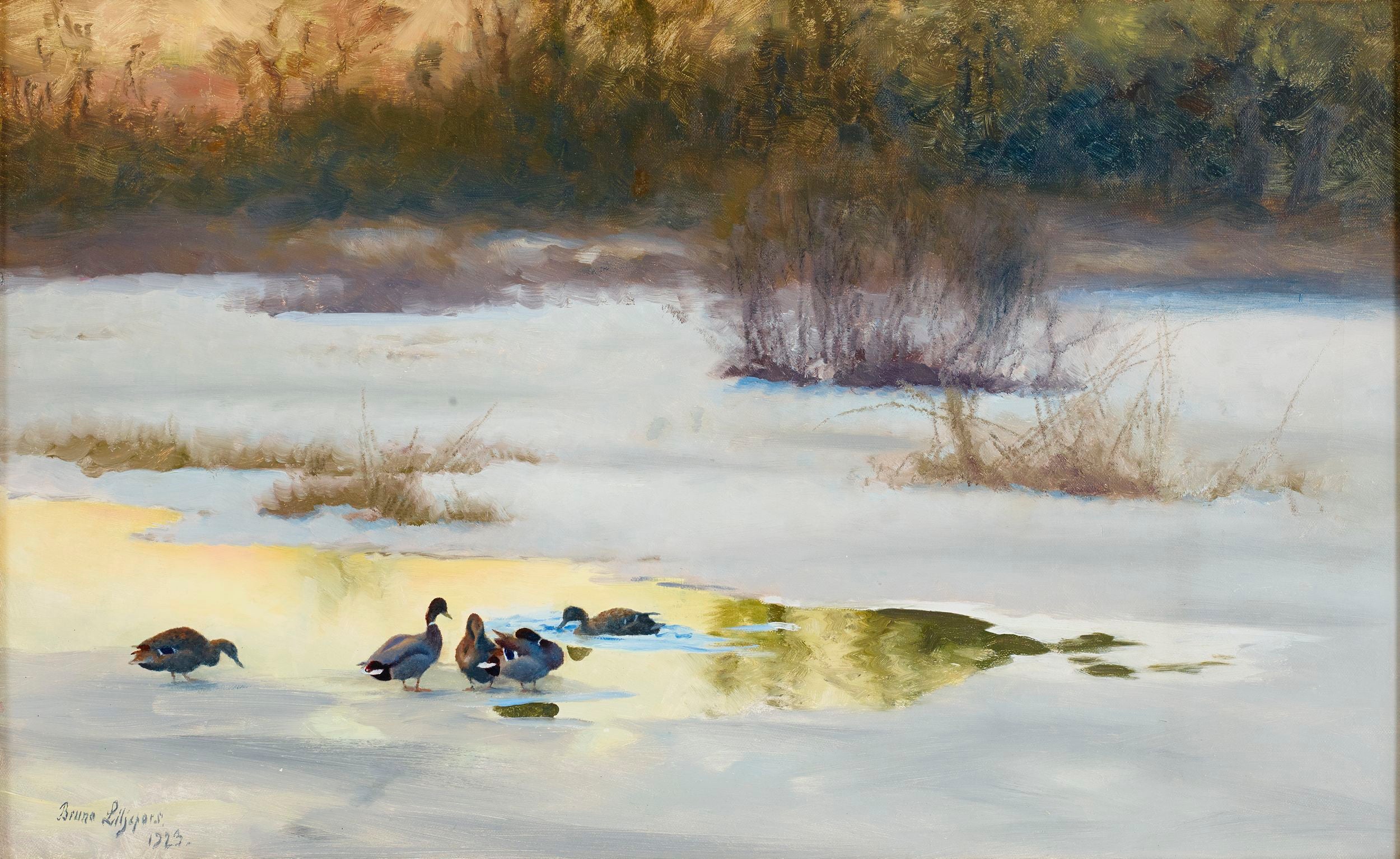 Canards près d'un trou dans la glace - Bruno Liljefors
