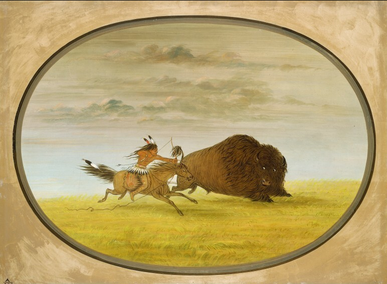 Chasse au bison - George Catlin