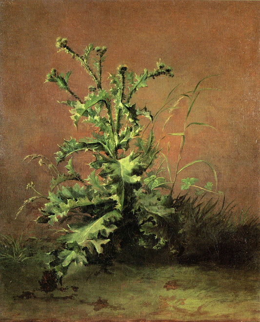 Reproduction du tableau « Chardons - Édouard Manet » par Alpha Reproduction en peinture à l’huile