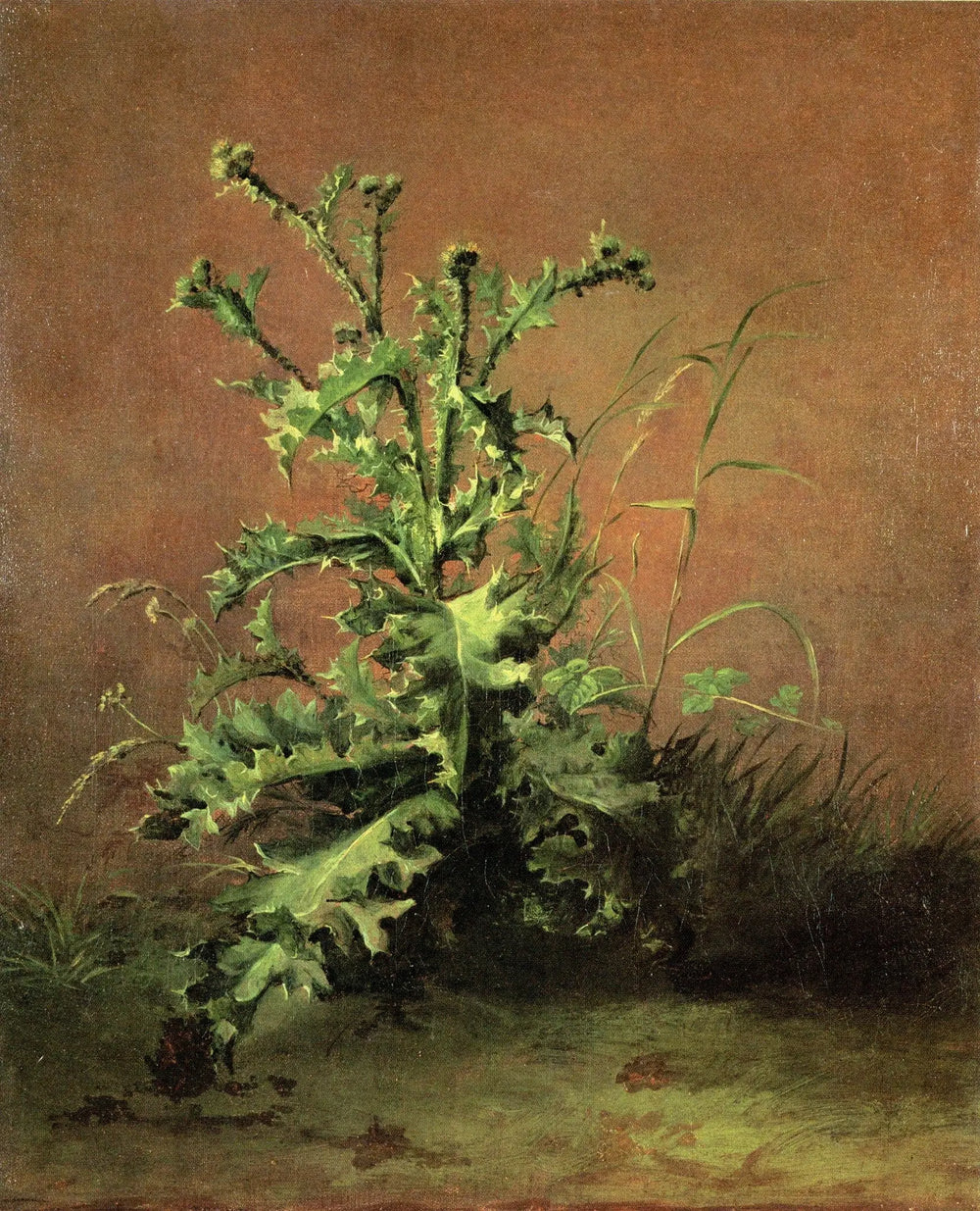 Reproduction du tableau « Chardons - Édouard Manet » par Alpha Reproduction en peinture à l’huile