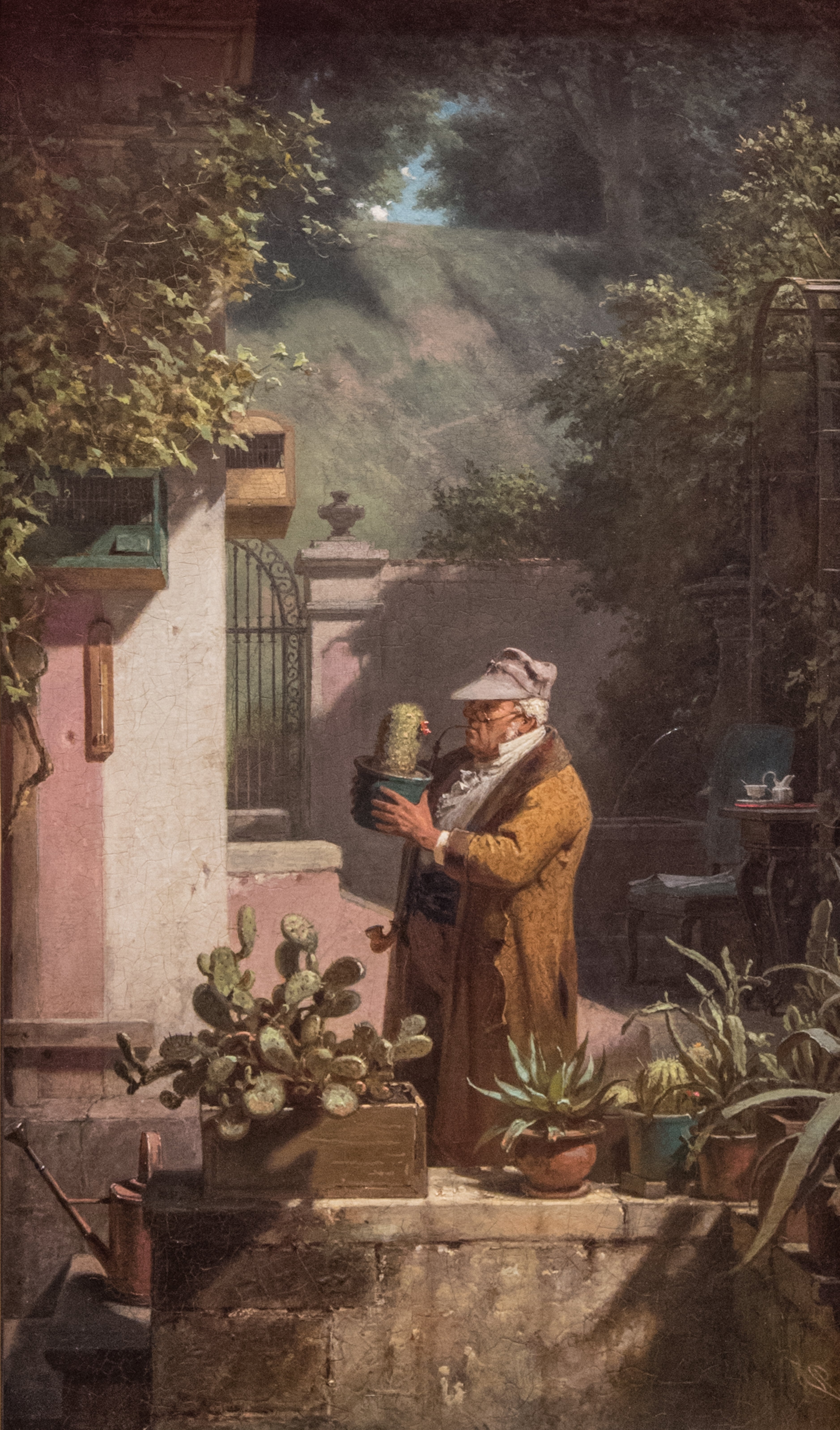 The Cactus Lover - Carl Spitzweg