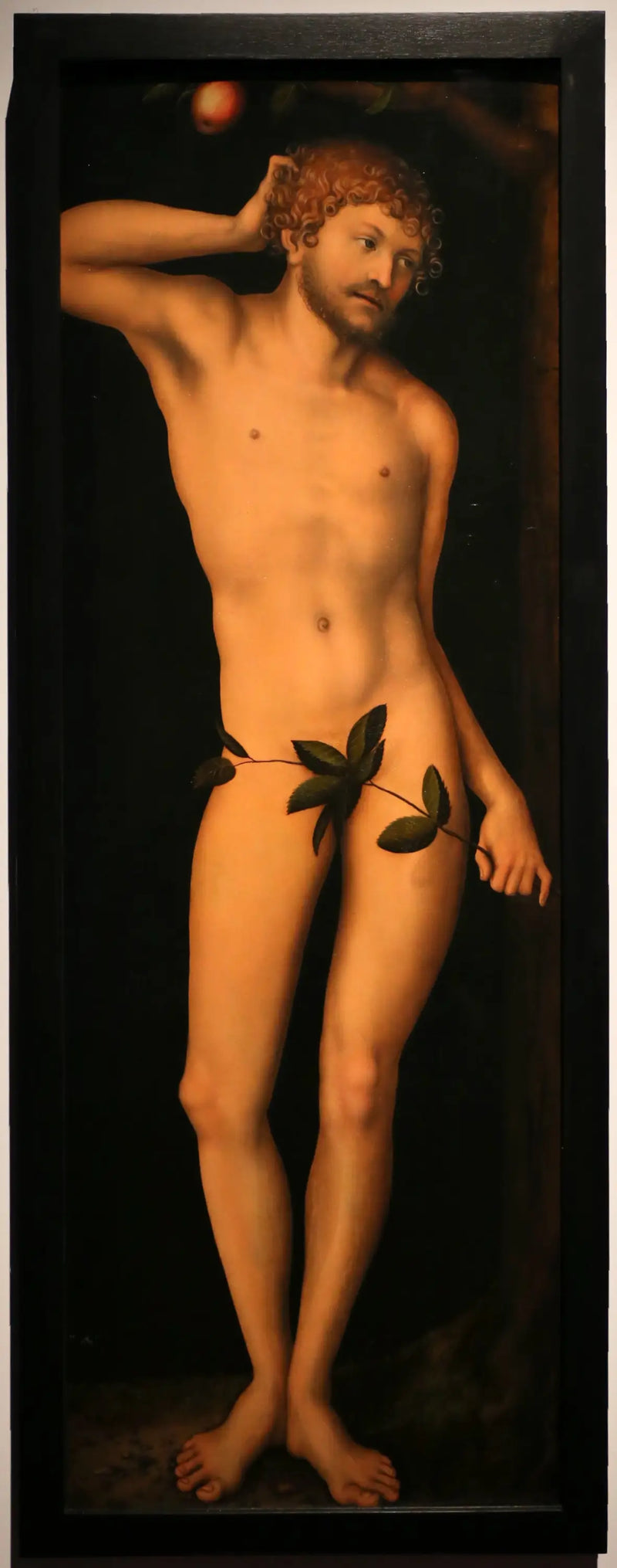 Adam - Lucas Cranach the Elder