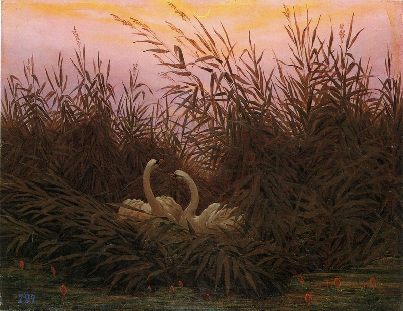 Swans in the Reeds at First Dawn - Caspar David Friedrich