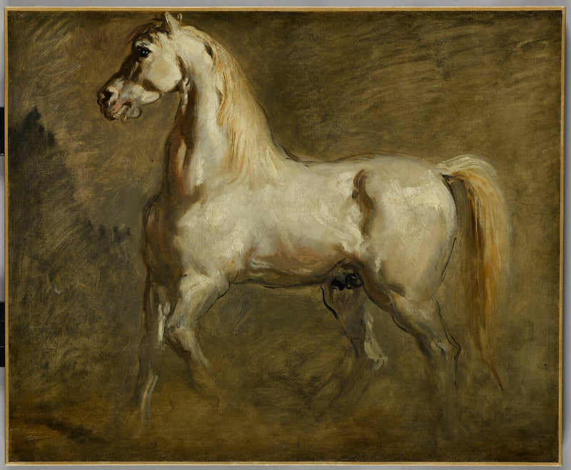 White horse profile to the left - Théodore Chassériau