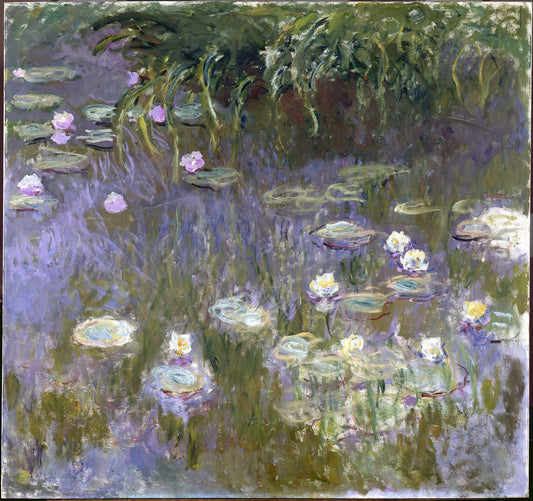 🌿 Water Lilies with Drooping Foliage