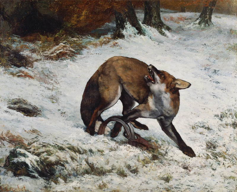 Fox caught in a trap - Gustave Courbet
