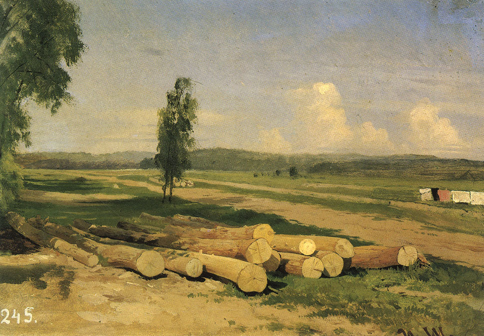Journaux. Le village de Konstantinovka près de Krasnoïe Selo. Étude - Ivan Chichkine