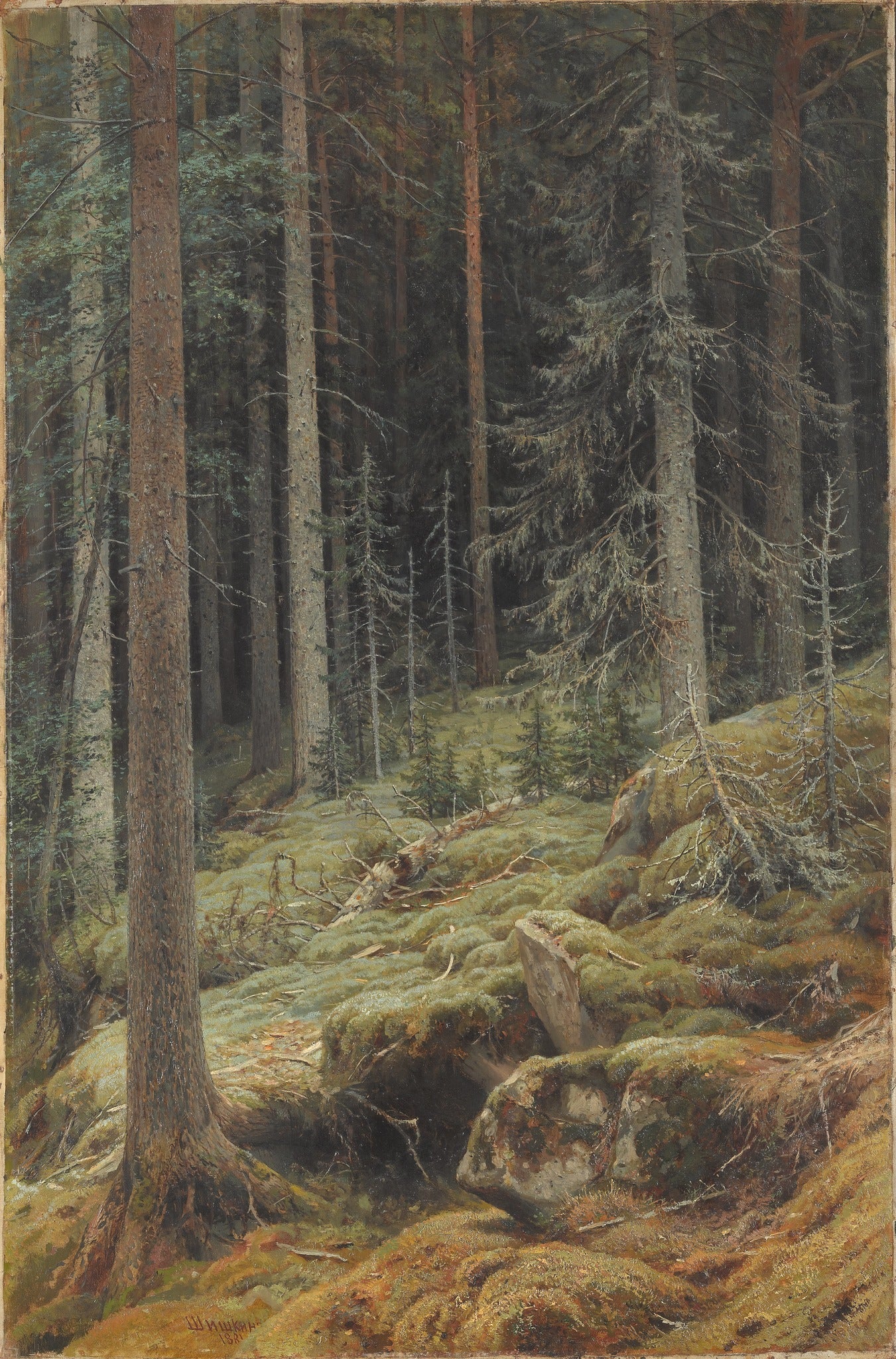 Natures sauvages - Ivan Chichkine