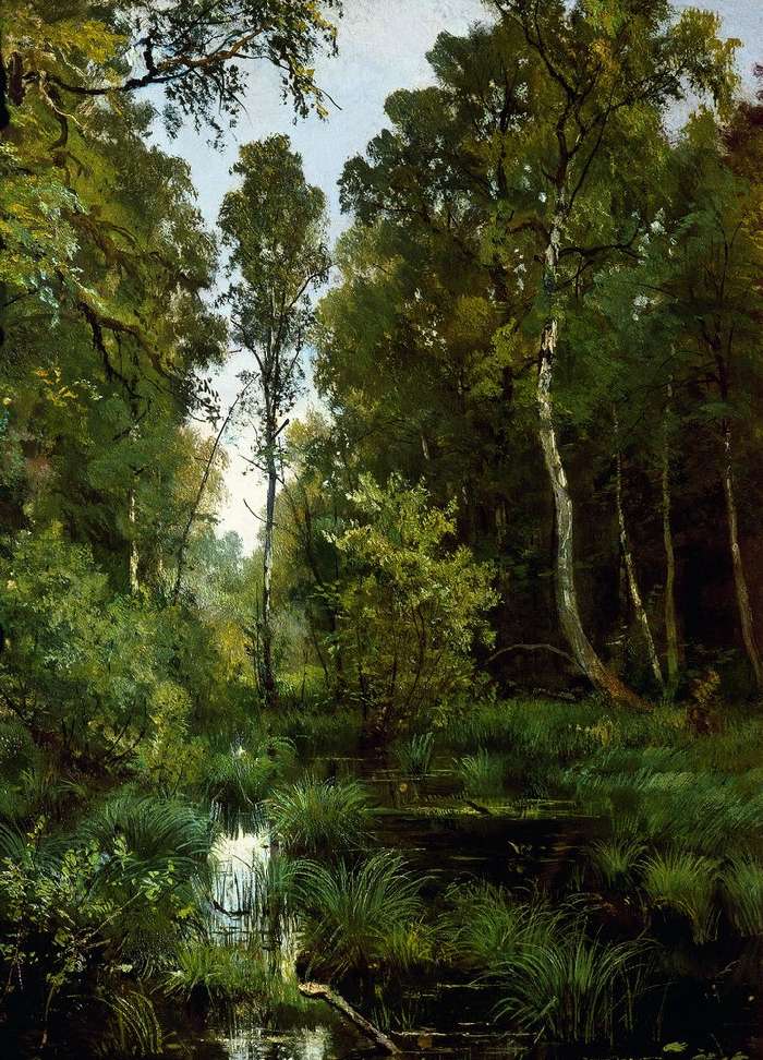 Étang envahi par la végétation à l'orée de la forêt. Siverskaya - Ivan Chichkine
