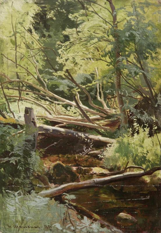 Ruisseau dans la forêt - Ivan Chichkine