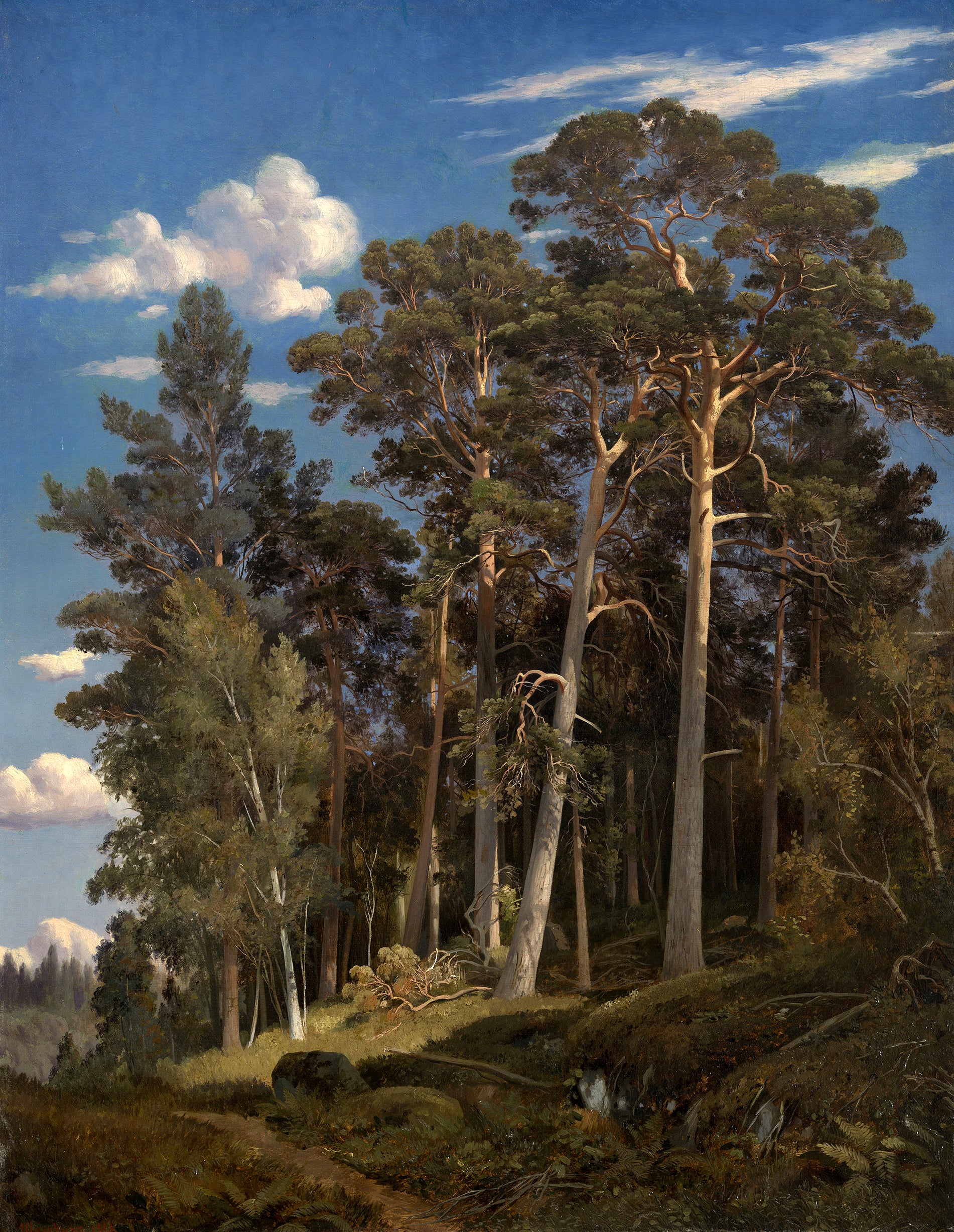 Forêt de pins - Ivan Chichkine