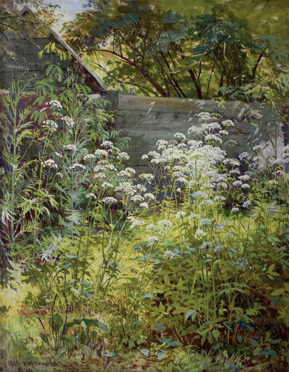 Jardin d'angle envahi par la végétation. Aegopodium - Ivan Chichkine
