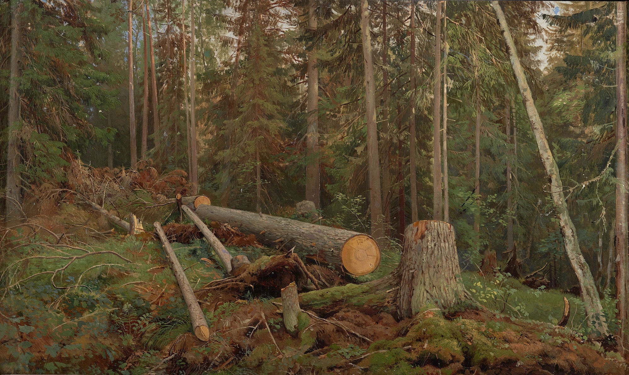 Étude pour le tableau « Lumbering » - Ivan Chichkine