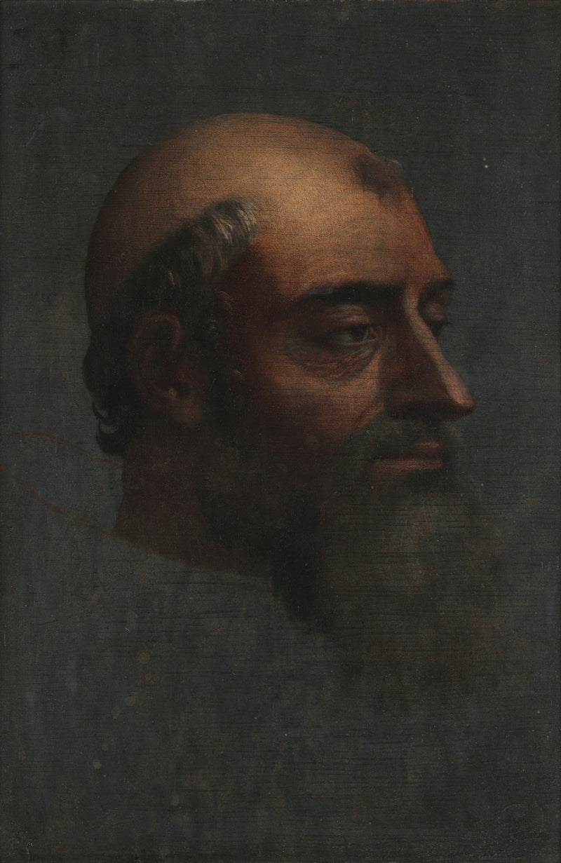 Portrait of Clement VII with beard - Sebastiano del Piombo