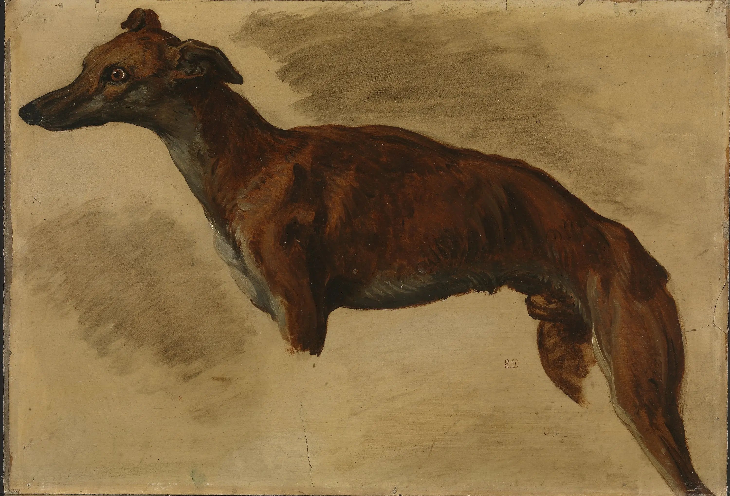 Reproduction du tableau « Lévrier - Eugène Delacroix » par Alpha Reproduction en peinture à l’huile