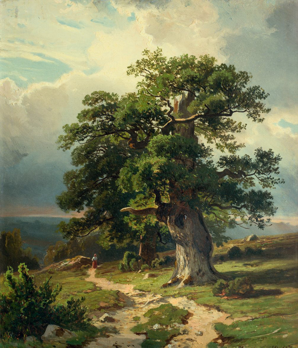 Chênes - Ivan Chichkine